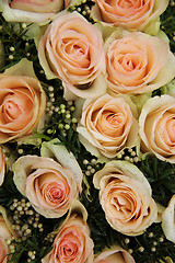 Image showing pale pink wedding roses