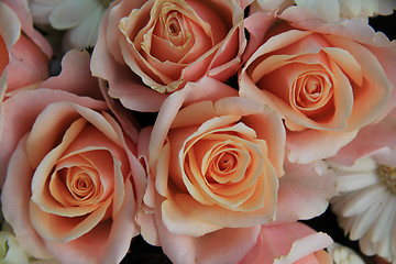 Image showing Pink wedding roses