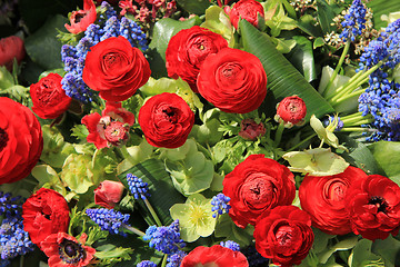 Image showing Spring flowers in red and blue