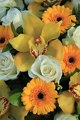 Image showing Cymbidium orchids, Gerberas and roses