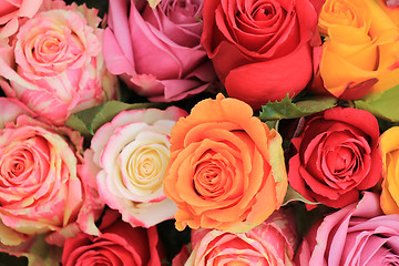 Image showing Multicolored wedding roses