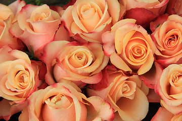 Image showing Multicolored wedding roses