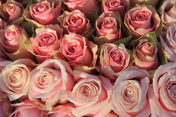 Image showing Pink roses in a bridal arrangement