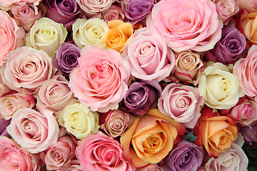 Image showing Pastel wedding roses