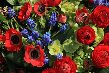 Image showing Spring flowers in red and blue