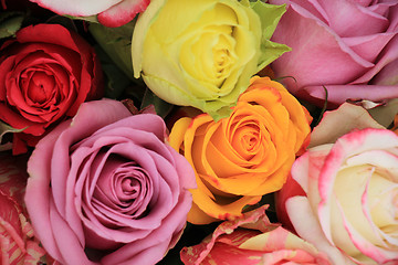 Image showing Multicolored wedding roses