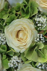 Image showing Hydrangea and roses bridal bouquet