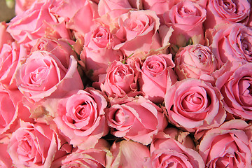 Image showing Pink roses in bridal bouquet