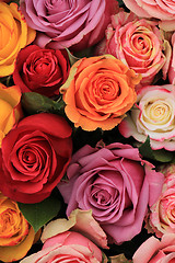 Image showing Multicolored wedding roses