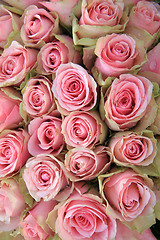 Image showing Pink roses in a wedding arrangement