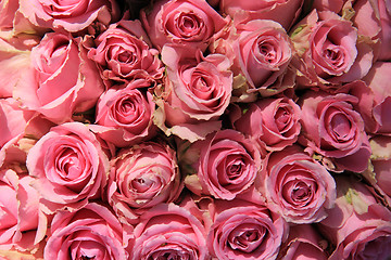 Image showing Pink roses in bridal bouquet