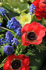 Image showing Spring flowers in red and blue