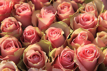Image showing Pink roses in a bridal arrangement