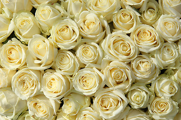 Image showing Group of white roses in floral wedding decorations