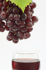 Image showing Sweet Red Wine