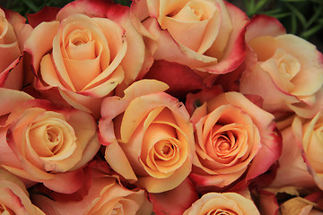 Image showing Multicolored wedding roses