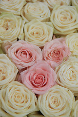 Image showing white and pink bridal roses