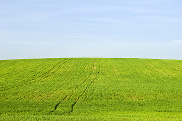Image showing Harvest landscape