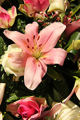 Image showing Big pink tigerlily