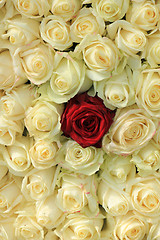 Image showing Red rose in white bouquet