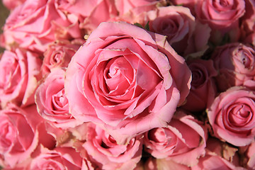 Image showing Pink roses in bridal bouquet