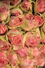 Image showing Wedding decorations with pink roses