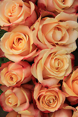 Image showing Multicolored wedding roses