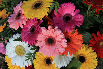 Image showing Gerberas in a colorful bridal bouquet