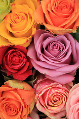 Image showing Multicolored wedding roses