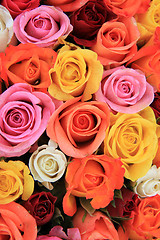 Image showing Multicolored wedding roses