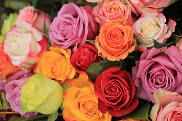 Image showing Multicolored wedding roses