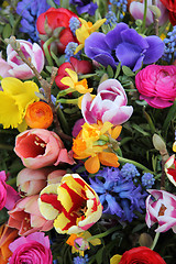 Image showing Mixed Spring Flowers