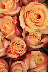 Image showing Multicolored wedding roses