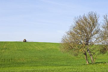 Image showing Rural scene