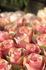 Image showing Pink roses in a bridal arrangement