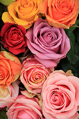 Image showing Multicolored wedding roses