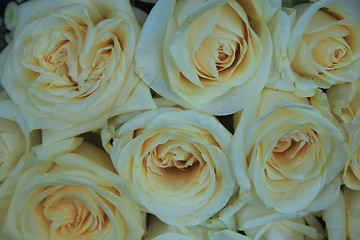 Image showing White wedding roses