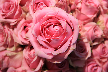 Image showing Pink roses in bridal bouquet