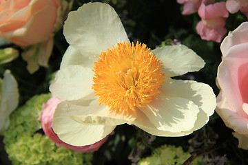 Image showing Mixed bridal arrangement