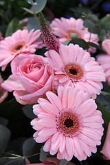 Image showing Pink bridal flowers