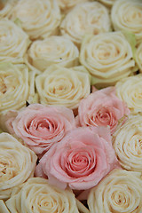 Image showing white and pink bridal roses