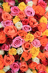 Image showing Multicolored wedding rosesm