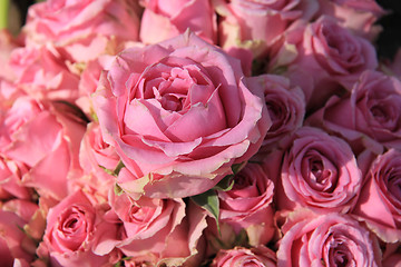 Image showing Pink roses in bridal bouquet