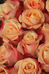 Image showing Multicolored wedding roses