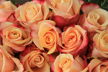 Image showing Multicolored wedding roses