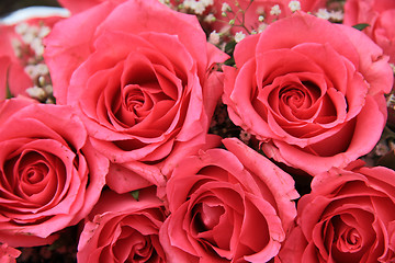 Image showing Pink roses in a bridal arrangement