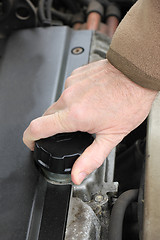 Image showing Oil refill