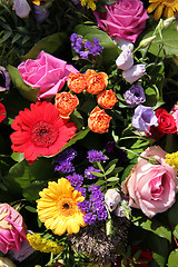 Image showing Mixed flower arrangement