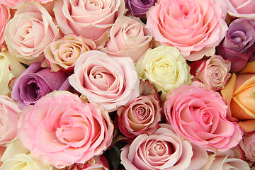 Image showing Mixed pastel roses