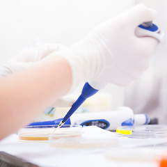 Image showing Life scientist researching in the laboratory.